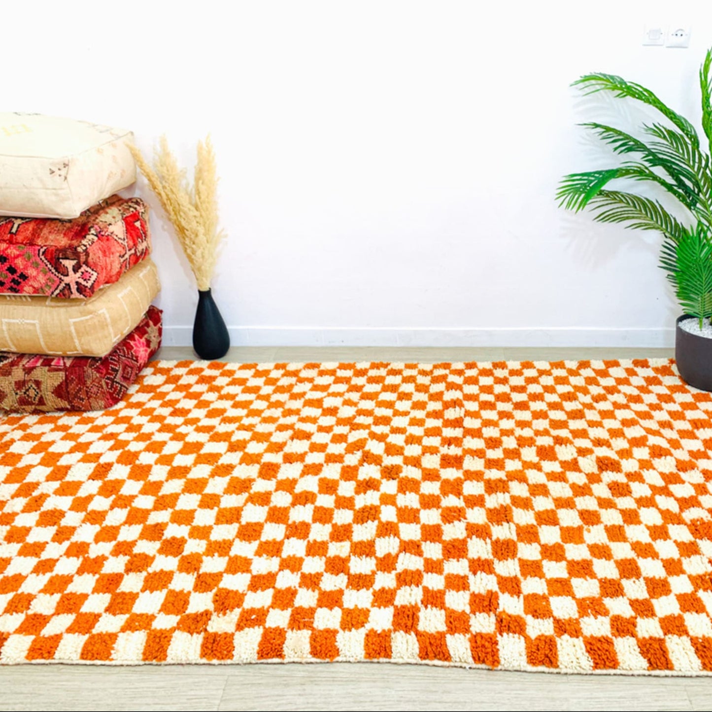 ORANGE-RED-CHECKERED-RUG-IN-LIVING-ROOM-WITH PLANT