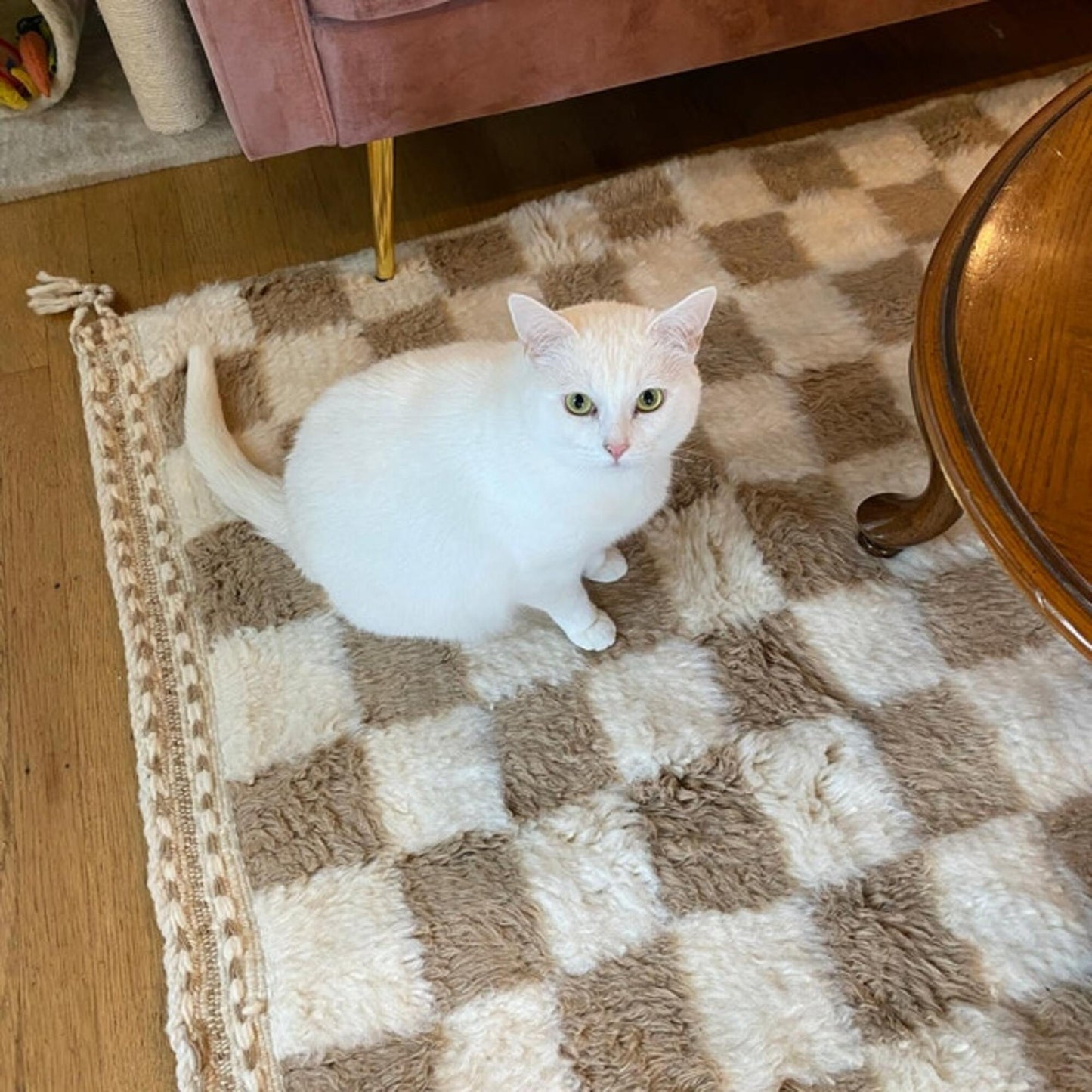 White-cat-in-Los-Angeles-loves-Beige-checkered-rug-from-Mwoven